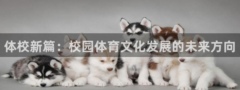 betway西汉姆