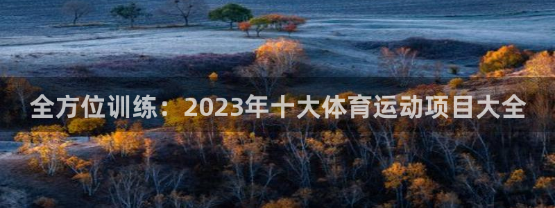 betway西汉姆：全方位训练：2023年十大体育运动项目大全