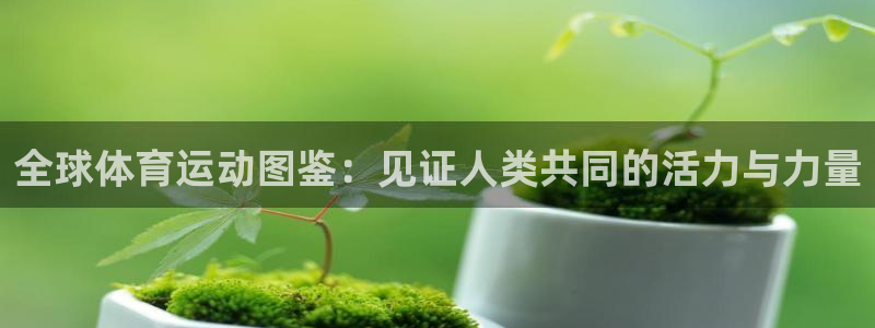 betway西汉姆官网：全球体育运动图鉴：见证人类共同的活力与力量
