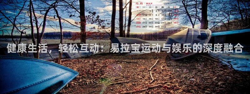 betway西汉姆：健康生活，轻松互动：易拉宝运动与娱乐的深度融合