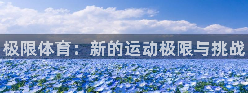 betway西汉姆联官网