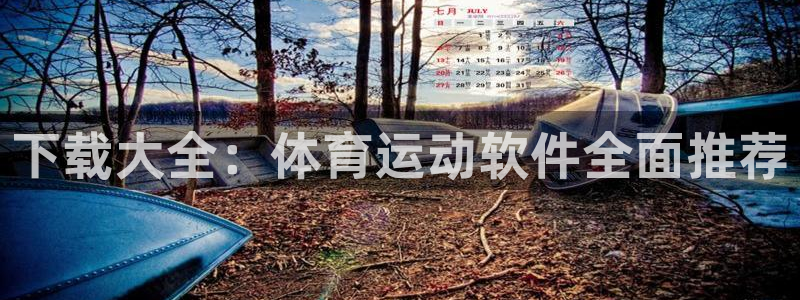 betway西汉姆联官网：下载大全：体育运动软件全面推荐